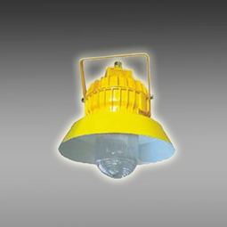 四川蛟龙照明供应节能防爆平台灯 价格 1500元 套